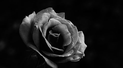 Σοκ στον δικαστικό και δικηγορικό κόσμο της Δωδ/σου – «Έφυγε» από τη ζωή ο Πρόεδρος Εφετών Χριστόδουλος Κυρτσίδης