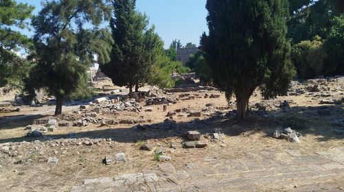 Σ. Χατζηπέτρος: Έρχεται αύριο η Υπ. Πολιτισμού και όλοι τρέχουν τώρα για να της δείξουν μία ωραία Κω