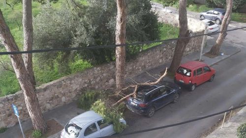 Τεράστιο κλαδί δέντρου έπεσε σε σταθμευμένα οχήματα 