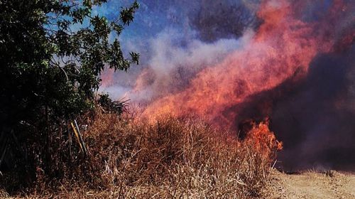 1.293.000 ευρώ στους δήμους της Δωδεκανήσου για δράσεις πυροπροστασίας μέσα στο 2026  
