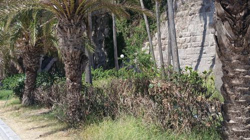 Δημ. Καλλούδης: Οι Ξενοδόχοι στη Ρόδο ενίσχυσαν οι κονομικά τους γιατρούς - Στην Κω τι κάνουν;