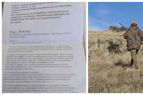 Τοπικό καταφύγιο ζώων που αναφέρει ότι συνεργάζεται με τον Δήμο Κω “απειλεί” τους κυνηγούς – Έξαλλος ο Πρόεδρος του Κυνηγετικού Συλλόγου Κω Γ. Μιαούδης