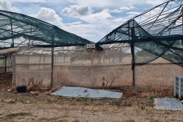 Νεκρός 74χρονος συμπολίτης μας σε τροχαίο στην Μεσαριά – Τι δηλώνει ο άνθρωπος που τον εντόπισε