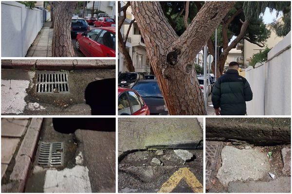 Ανησυχία πολιτών για επικίνδυνη κλίση δέντρου και καθίζηση οδοστρώματος στην οδό Ελ. Βενιζέλου