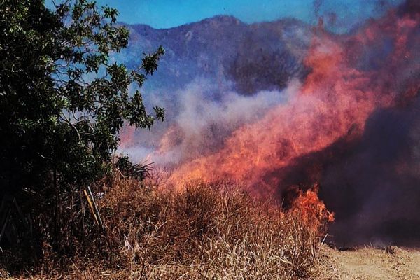 Πολύ υψηλός κίνδυνος πυρκαγιάς επιπέδου 4 στις ΠΕ Κω και Καλύμνου  