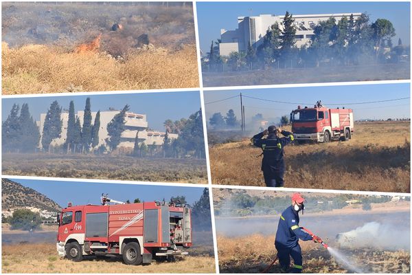 Συμβαίνει τώρα: Φωτιά στην Καρδάμαινα κοντά σε ξενοδοχείο 