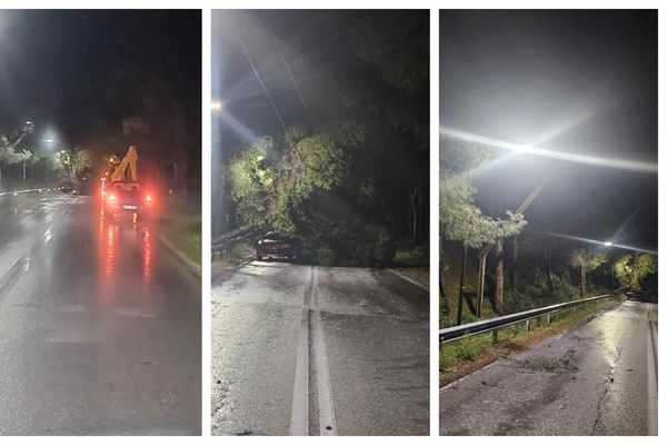 Πτώση δέντρου σε καλώδια της ΔΕΗ στο δρόμο προς Μαστιχάρι - Αντιμάχεια 