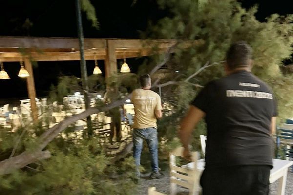 Αγιο είχαν επισκέπτες και θαμώνες εστιατορίου στο Μαστιχάρι - Έσπασε μεγάλος κλώνος δέντρου δίπλα τους