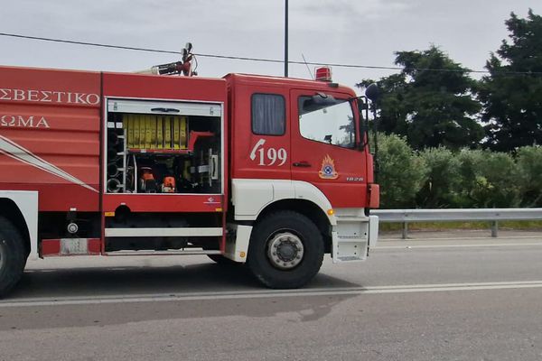 Άμεση κατάσβεση φωτιάς στην Καρδάμαινα