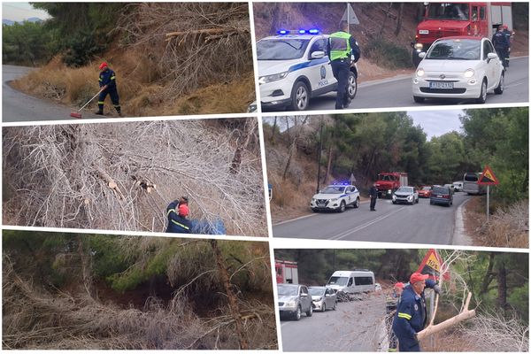 Έπεσε δέντρο στον δρόμο στις «Πόρτες» Αντιμάχειας – Από θαύμα δεν σημειώθηκε τραυματισμός