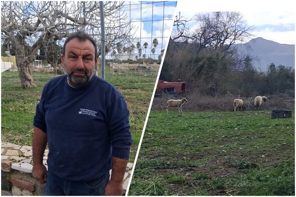 Μ. Μανιάς (Πρόεδρος Κτηνοτρόφων Κω): Δεν πήραμε αυτά που θέλαμε – Δεν καταλαβαίνει η Κυβέρνηση τι περνάμε…