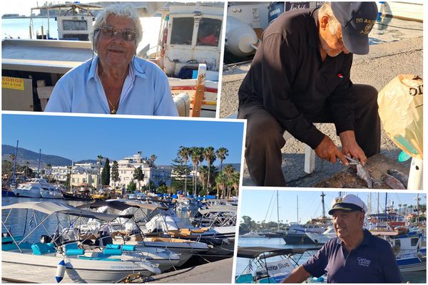 Ιδιαίτερα αισθητές οι συνέπειες του λαγοκέφαλου και στη θαλάσσια περιοχή της Κω: Οδηγούμαστε στην καταστροφή, λένε οι ψαράδες