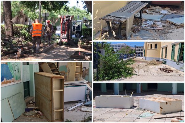 Σ. Δουδούς: Καθαρισμοί και παρεμβάσεις από την Υπηρεσία Πρασίνου στην πόλη της Κω