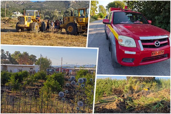 Μεγάλη κινητοποίηση για φωτιά στο Πυλί- Τέθηκε υπό έλεγχο 