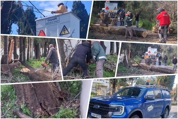 Κοπή “επικίνδυνων” δέντρων στην Κω – Αιχμές από τον κ. Σοφοκλή Δουδούς: Δυστυχώς στο Δήμο κάνουν κουμάντο κάποιοι που δεν έχουν αρμοδιότητα…