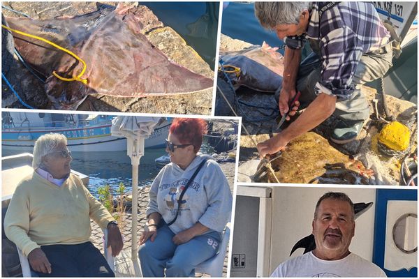 Πρωινή ψαριά με σαλάχια από τον κ. Π. Μητσάτσο: «Εξαφανίστηκαν τα ψάρια λόγω λαγοκέφαλου» φωνάζουν οι ψαράδες