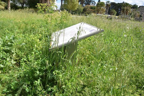 173.000 ευρώ για εργασίες καθαρισμού και αποψίλωσης αρχαιολογικών χώρων σε Ρόδο, Κω, Κάλυμνο και Σύμη