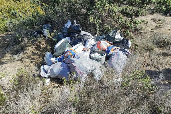 Μελισσοκομικός Συνεταιρισμός Κω: Η απόρριψη σκουπιδιών και μπαζών στη φύση αποτελεί απαράδεκτη πράξη 