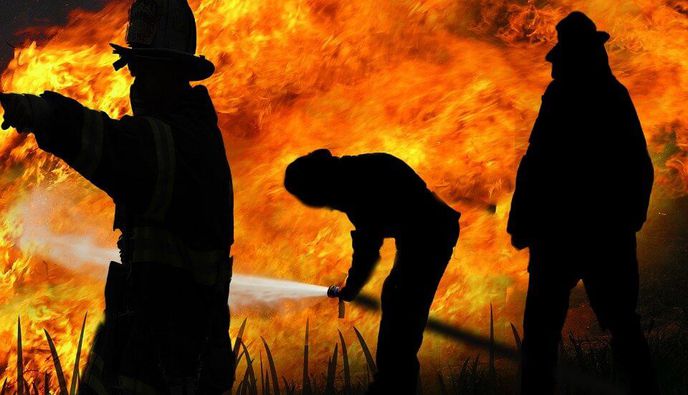 Δημιουργούνται ειδικές μονάδες δασοκομάντος σε Νησιά (εκτός η Κως)