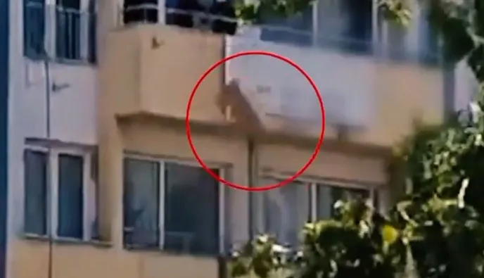 ΟΠΕΚΕΠΕ: Πέταγαν από το μπαλκόνι κούτες με έγγραφα από την αποθήκη στη Θεσσαλονίκη (βίντεο)