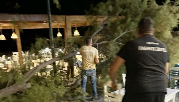 Αγιο είχαν επισκέπτες και θαμώνες εστιατορίου στο Μαστιχάρι - Έσπασε μεγάλος κλώνος δέντρου δίπλα τους
