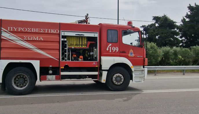 Άμεση κατάσβεση φωτιάς στην Καρδάμαινα