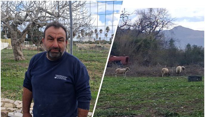 Μ. Μανιάς (Πρόεδρος Κτηνοτρόφων Κω): Δεν πήραμε αυτά που θέλαμε – Δεν καταλαβαίνει η Κυβέρνηση τι περνάμε…