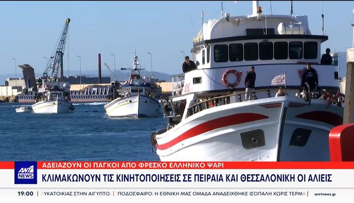 Συνεχίζουν το «εμπάργκο» οι ψαράδες μετά τις εξαγγελίες της κυβέρνησης και προειδοποιούν κλιμάκωση των κινητοποιήσεων
