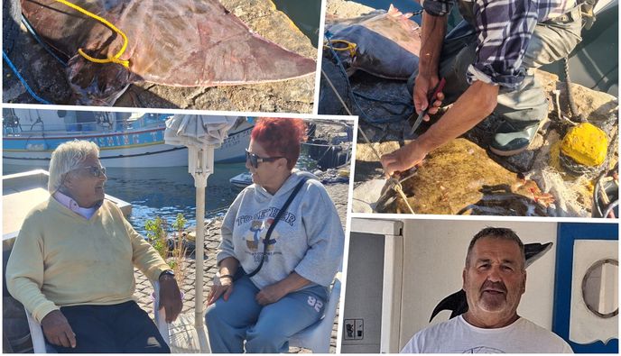 Πρωινή ψαριά με σαλάχια από τον κ. Π. Μητσάτσο: «Εξαφανίστηκαν τα ψάρια λόγω λαγοκέφαλου» φωνάζουν οι ψαράδες