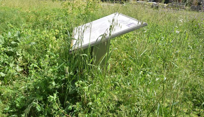 173.000 ευρώ για εργασίες καθαρισμού και αποψίλωσης αρχαιολογικών χώρων σε Ρόδο, Κω, Κάλυμνο και Σύμη