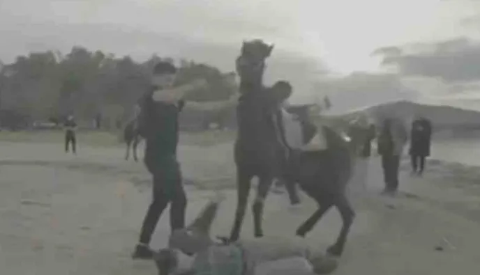 Ατύχημα για τον Άκη Πετρετζίκη: Έπεσε από άλογο στη διάρκεια γυρισμάτων (vid)