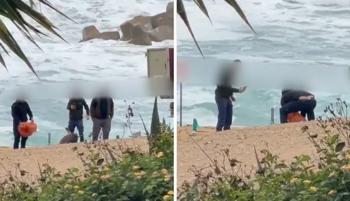 Πάφος: Βίντεο σοκ με κακοποίηση νεκρής χελώνας στην Πάφο - Ελεύθεροι οι τέσσερις εμπλεκόμενοι