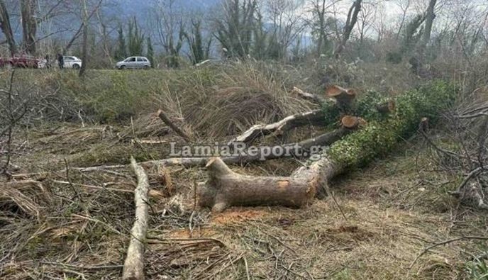 Λαμία: Νεκρός 68χρονος - Tον καταπλάκωσε δέντρο μπροστά στα μάτια της συζύγου του