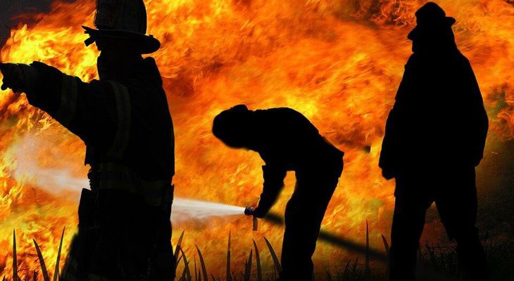 Δημιουργούνται ειδικές μονάδες δασοκομάντος σε Νησιά (εκτός η Κως)