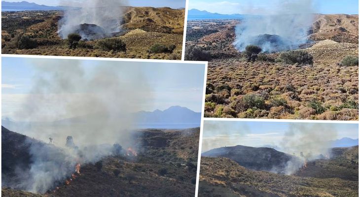 Συμβαίνει τώρα: Φωτιά στην Καρδάμαινα - Ζητήθηκε η συνδρομή εναέριου μέσου 