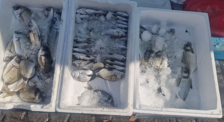 Σε ασφυκτικό κλοιό η παράκτια αλιεία στα Δωδεκάνησα