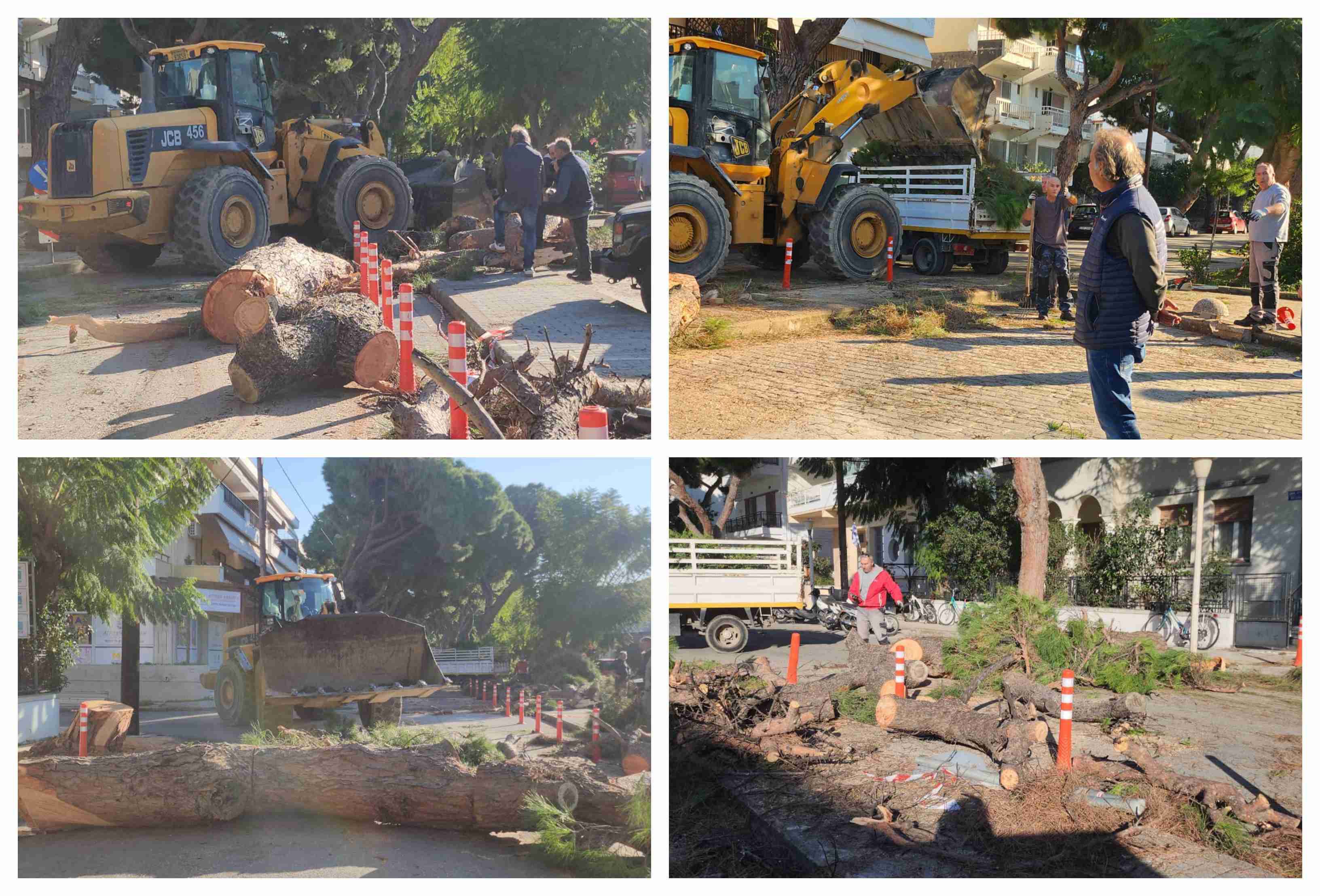 Κοπή και κλαδεύσεις δέντρων στην οδό Αρτεμισίας από συνεργεία του Δήμου Κω