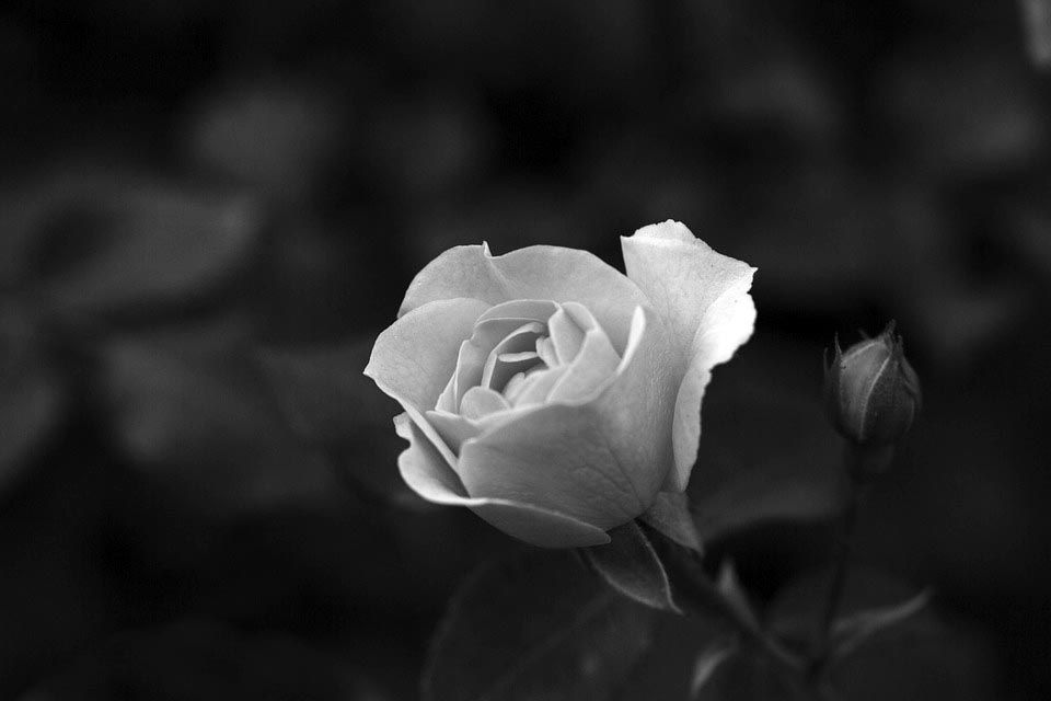 "Έφυγε" από τη ζωή ο αγαπητός συμπολίτης μας Εμμανουήλ Καϊλας (65 ετών)