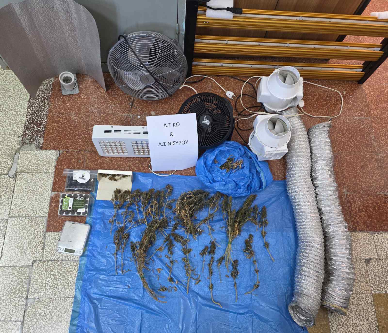 Συνελήφθη ημεδαπός στη Νίσυρο για καλλιέργεια εσωτερικού τύπου κάνναβης 