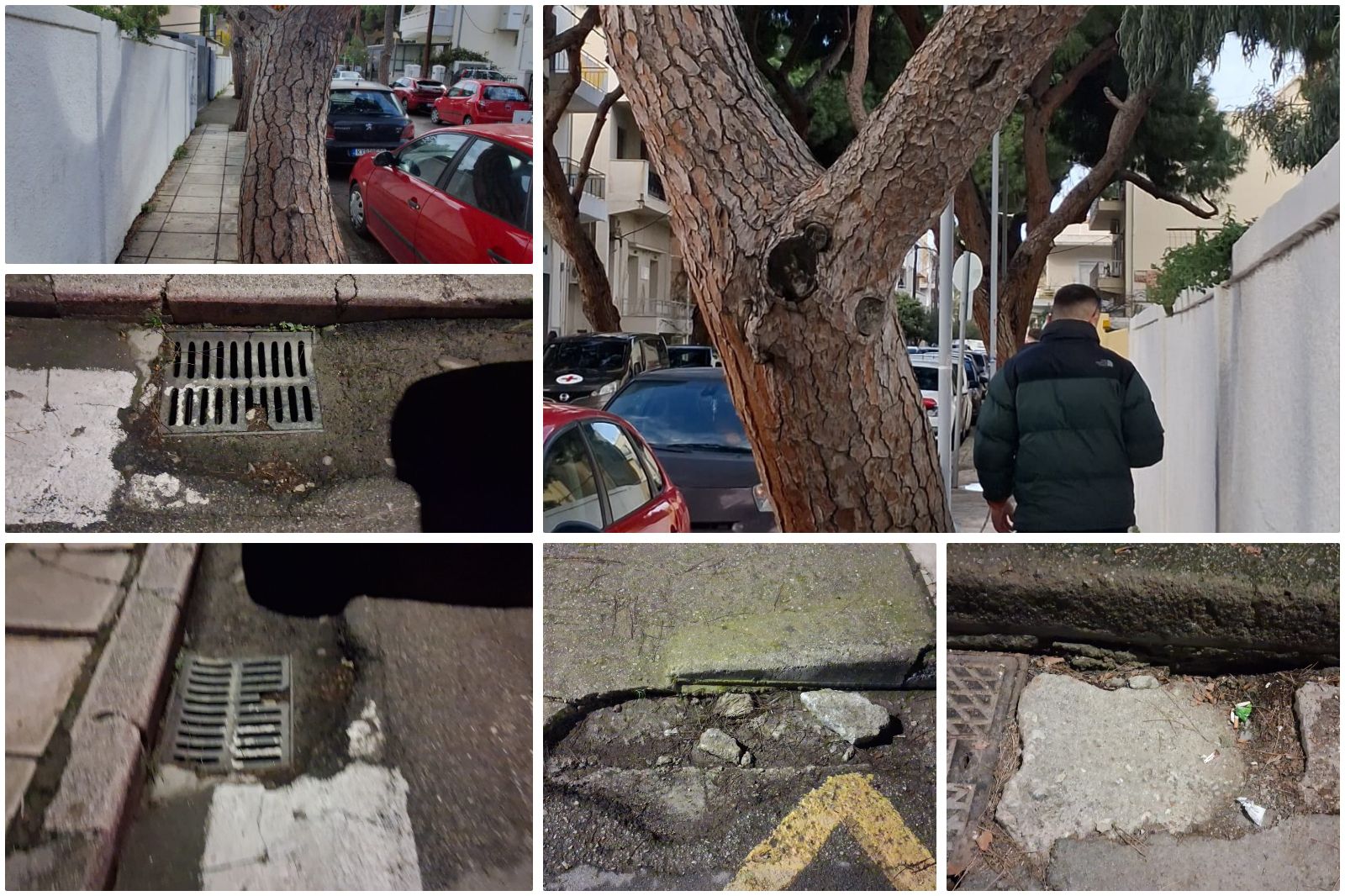 Ανησυχία πολιτών για επικίνδυνη κλίση δέντρου και καθίζηση οδοστρώματος στην οδό Ελ. Βενιζέλου