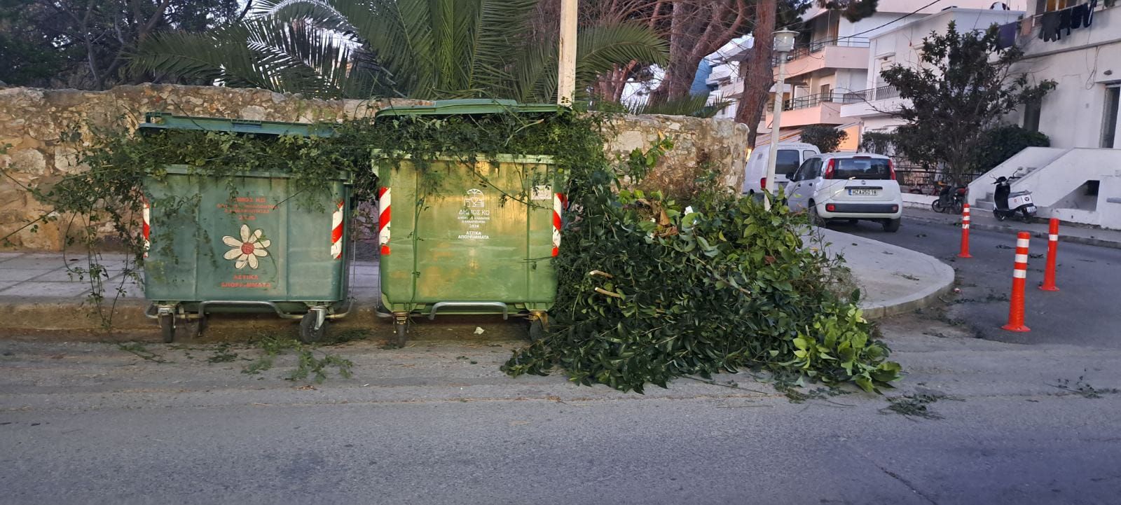 Αναγνώστρια: Κλάδεψε τα δέντρα του και έριξε τα κλαδιά στους κάδους