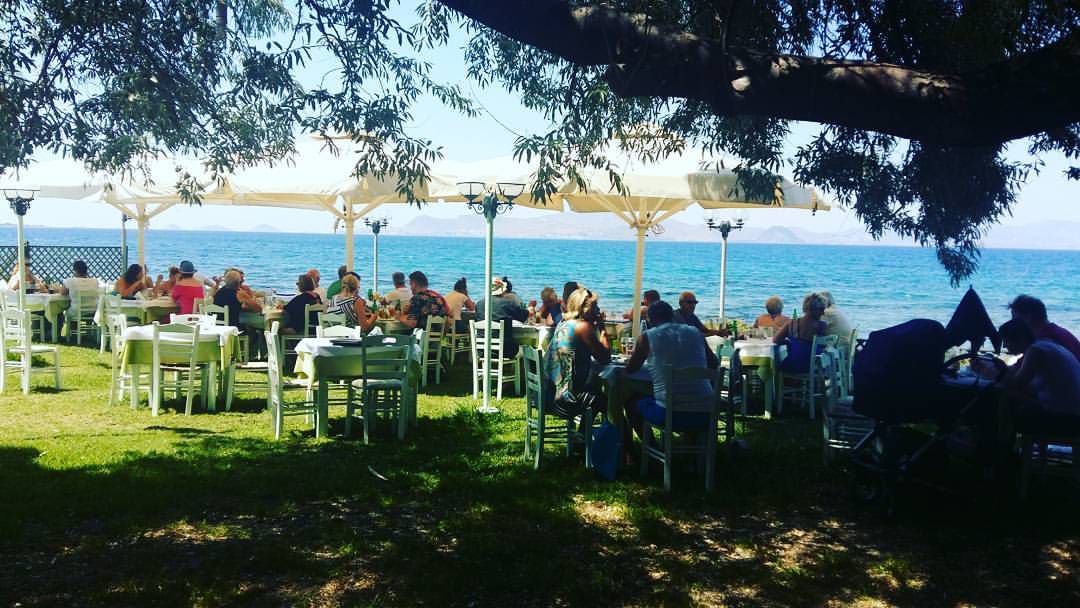 Από το εστιατόριο Ταβέρνα Νέστορας στο Ψαλίδι αναζητάμε προσωπικό για την νέα σεζόν 