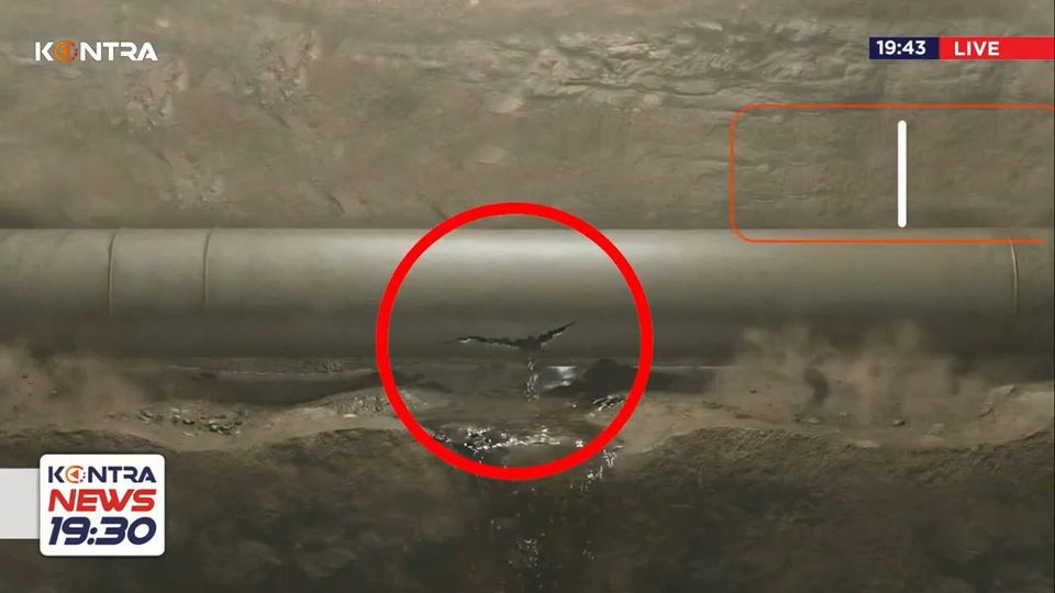 Το πόρισμα της Πυροσβεστικής για τη Βιολάντα: Η πολύμηνη διαρροή και ο σπινθήρας που τίναξε το εργοστάσιο στον αέρα