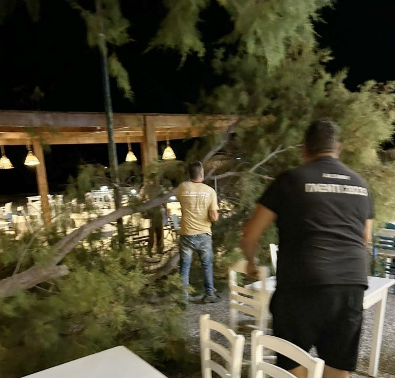 Αγιο είχαν επισκέπτες και θαμώνες εστιατορίου στο Μαστιχάρι - Έσπασε μεγάλος κλώνος δέντρου δίπλα τους