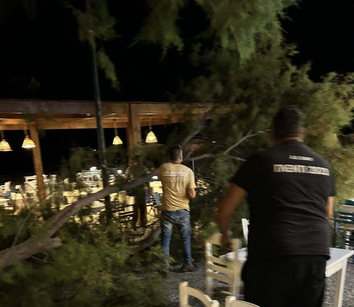 Αγιο είχαν επισκέπτες και θαμώνες εστιατορίου στο Μαστιχάρι - Έσπασε μεγάλος κλώνος λόγω των ανέμων