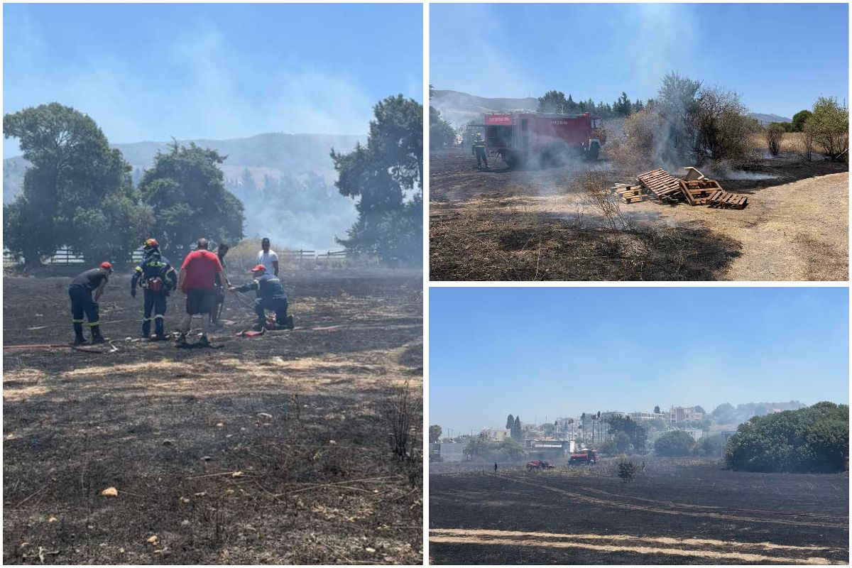 Συμβαίνει τώρα: Mεγάλη κινητοποίηση για φωτιά στο Ψαλίδι