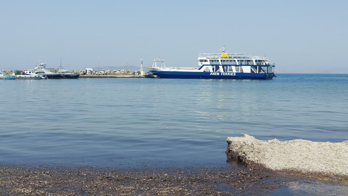 Το λιμάνι Μαστιχαρίου εκπέμπει SOS: Αβαθή και ζημιές σε πλοία - Τι δηλώνουν οι Δ. Μαραγκός και Μ. Μουσελλής