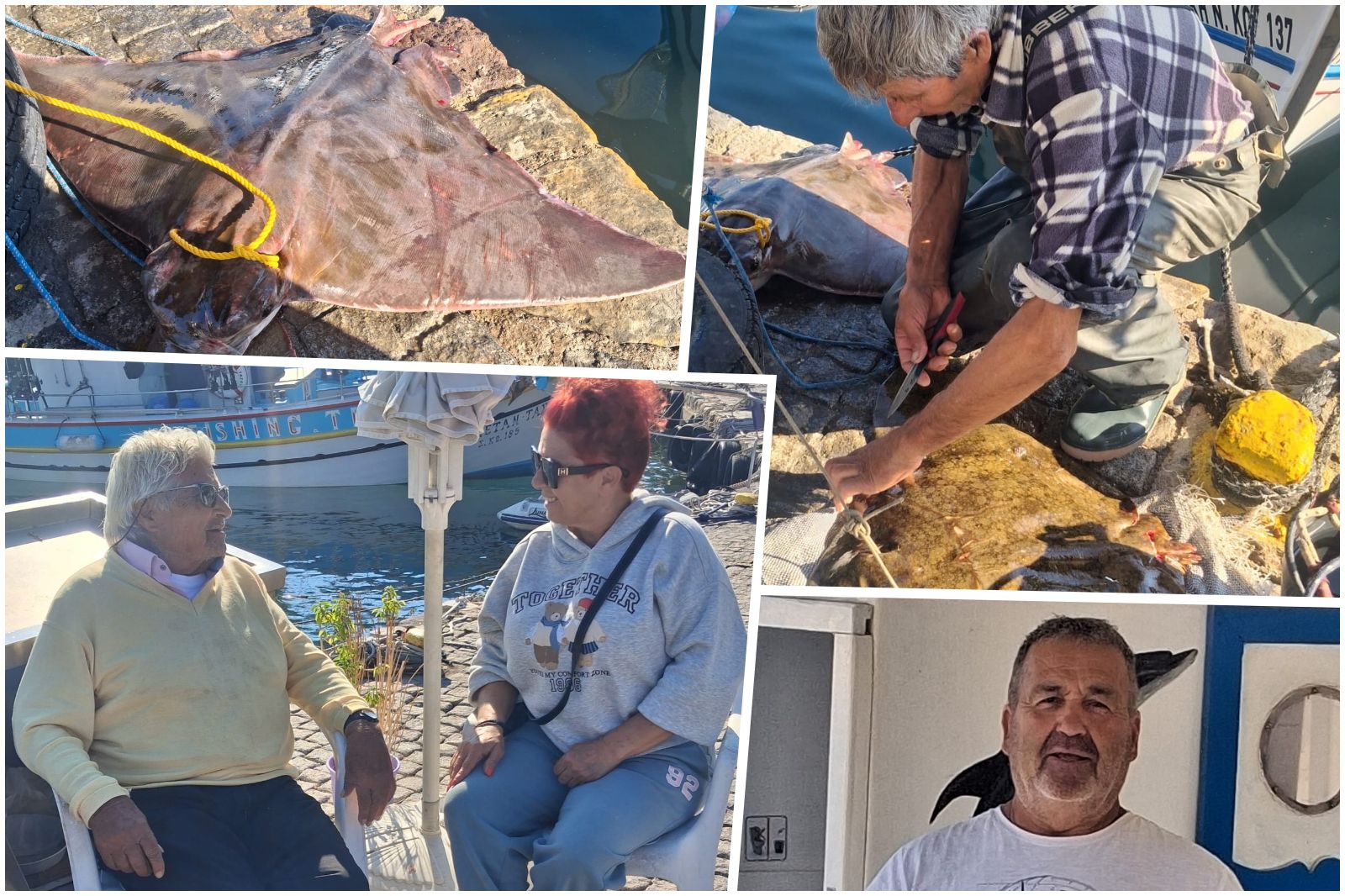 Πρωινή ψαριά με σαλάχια από τον κ. Π. Μητσάτσο: «Εξαφανίστηκαν τα ψάρια λόγω λαγοκέφαλου» φωνάζουν οι ψαράδες