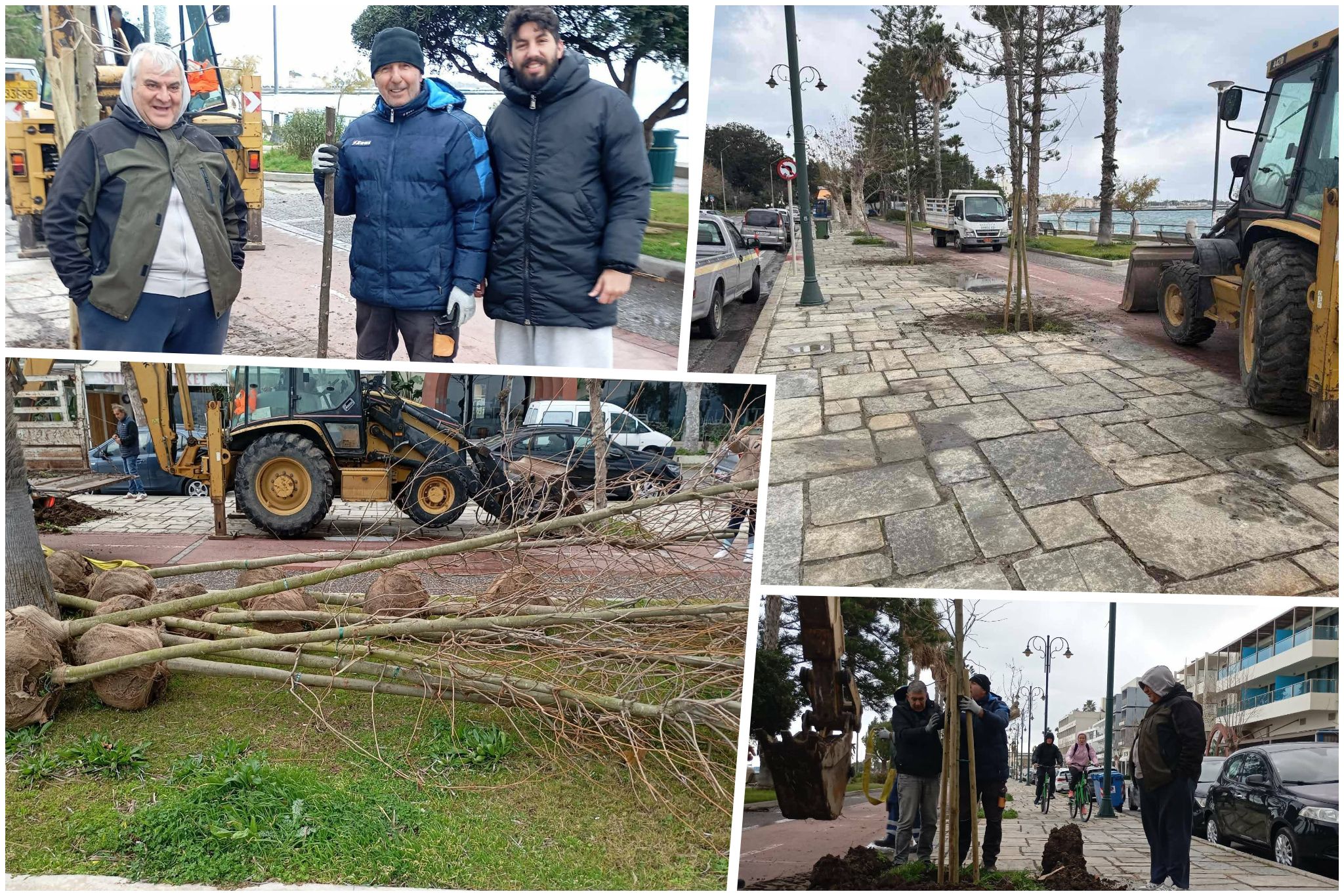 Φύτευση νέων πλατανιών στη οδό Β. Γεωργίου στην Κω