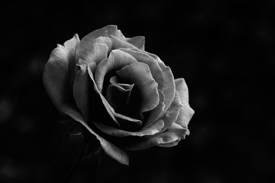 Σοκ στον δικαστικό και δικηγορικό κόσμο της Δωδ/σου – «Έφυγε» από τη ζωή ο Πρόεδρος Εφετών Χριστόδουλος Κυρτσίδης